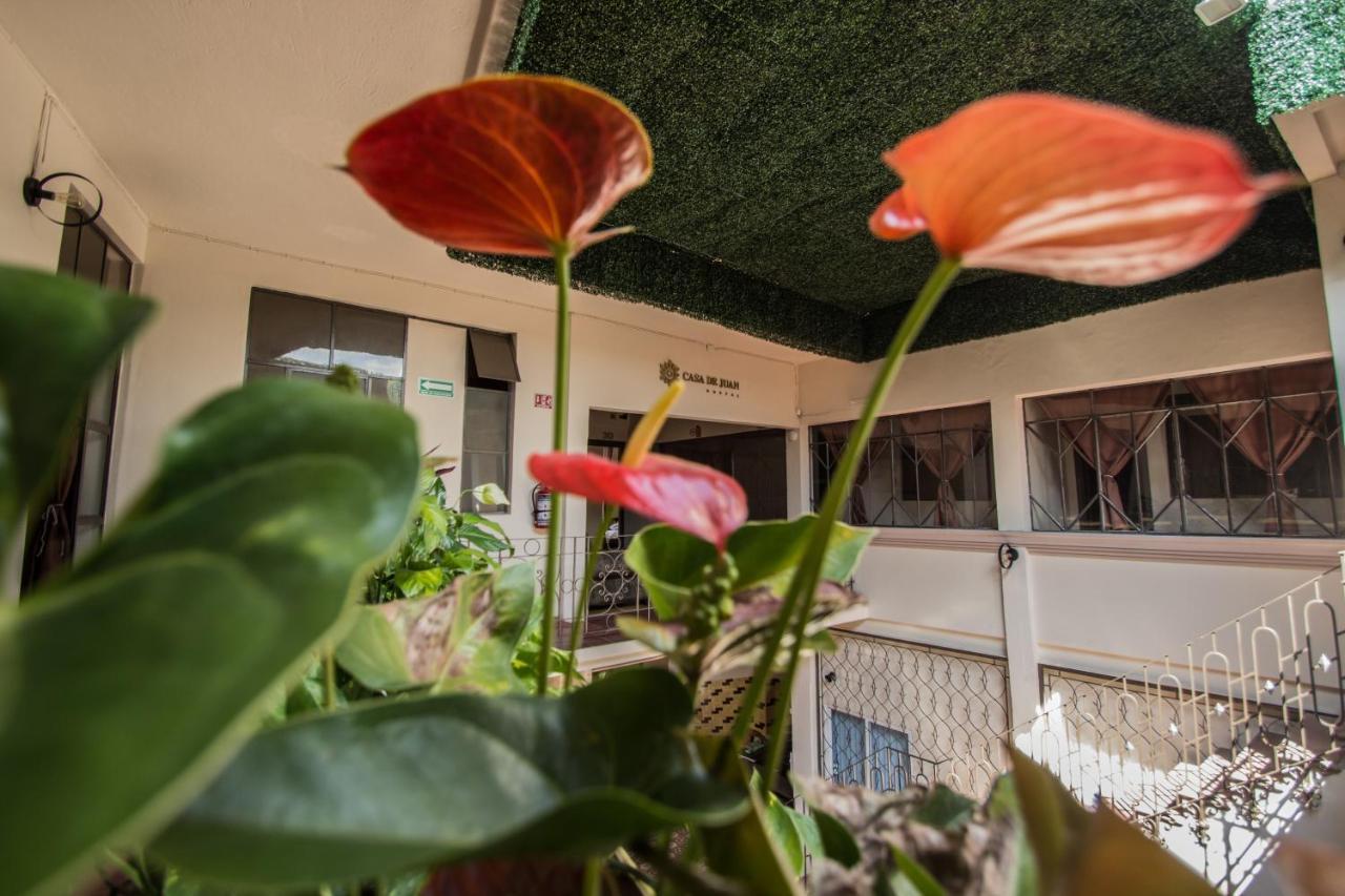 Casa De Juan Hostal Халапа Экстерьер фото